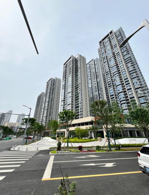 汉口房价新楼盘