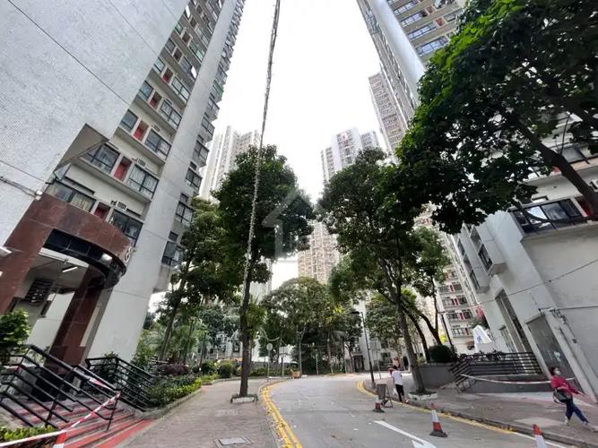深圳大兴花园