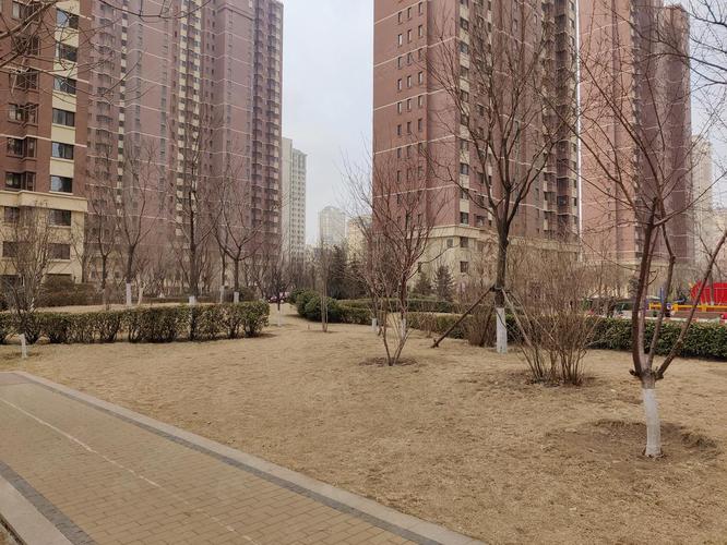 滨瑞花园
