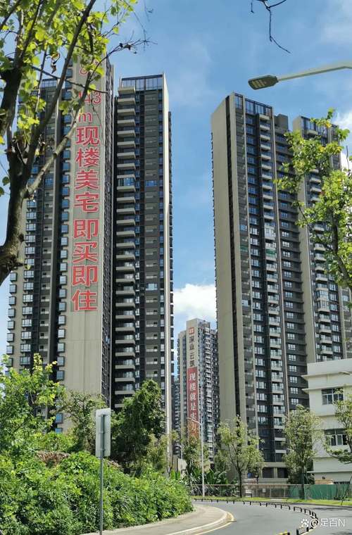 深圳最近新楼盘