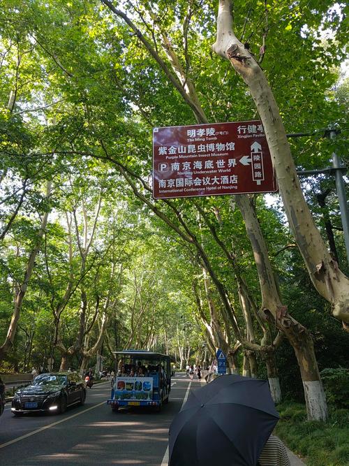 南京中山陵附近房价