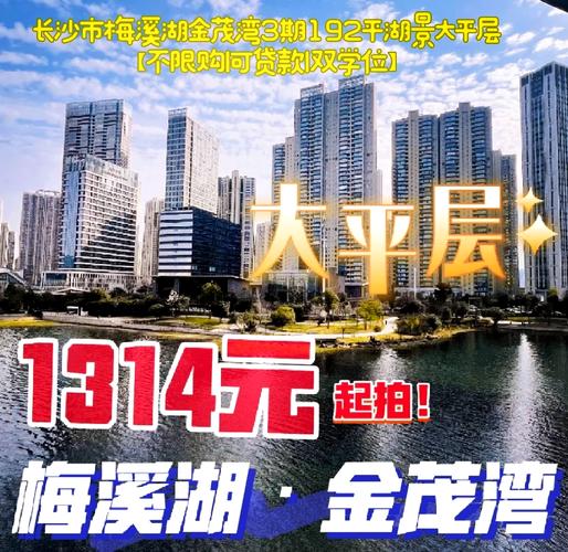 长沙金茂梅溪湖房价