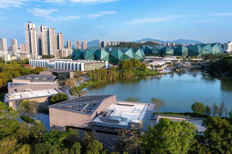 深圳大运楼盘