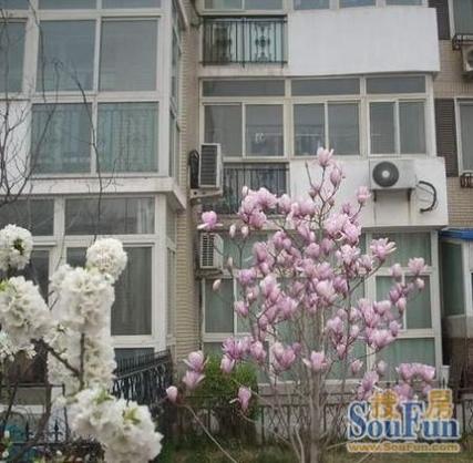 蓝星花园小区
