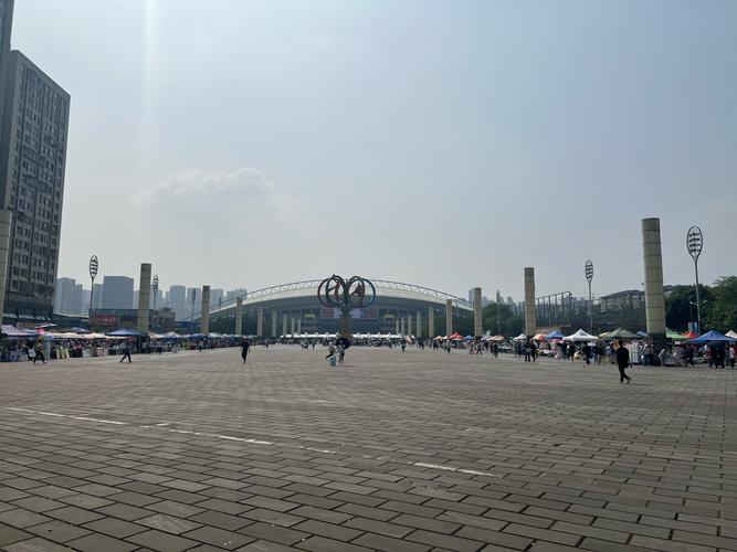 重庆奥体中心楼盘