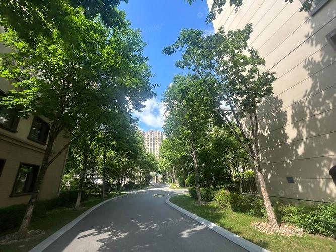 长春伟峰楼盘