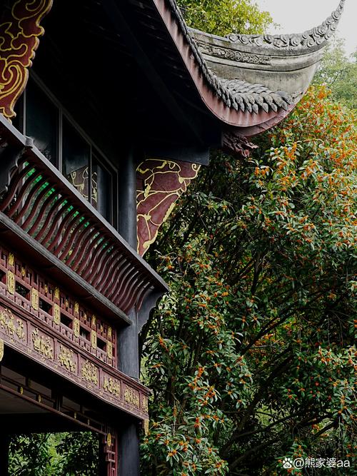 椒江桂花园