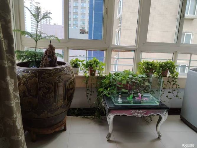 西安花园印象