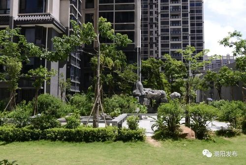 潮阳棉城楼盘