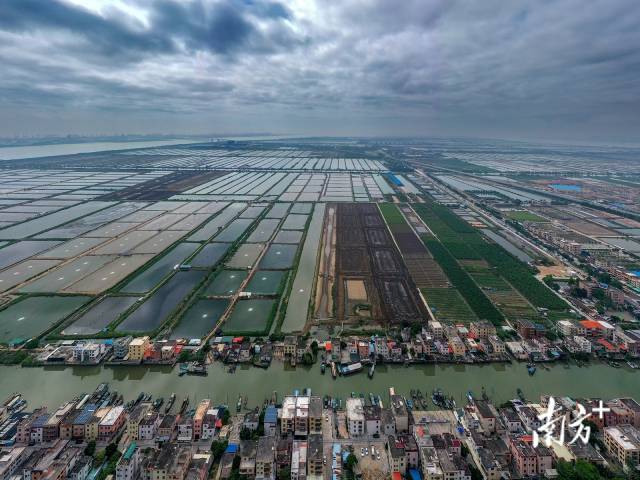 南沙新垦楼盘