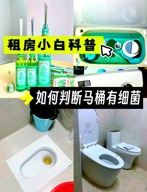 租房子马桶怎么消毒