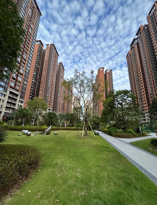 惠州大亚湾西区楼盘
