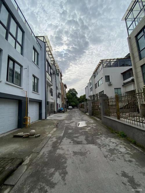 千灯上郡花园太乱了