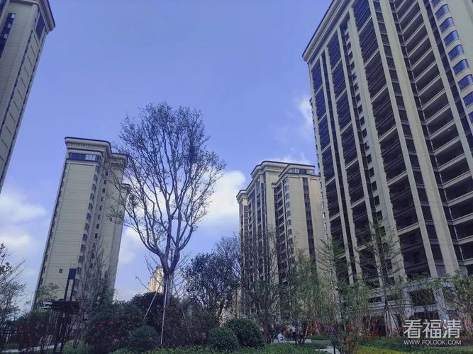 福清中庚楼盘