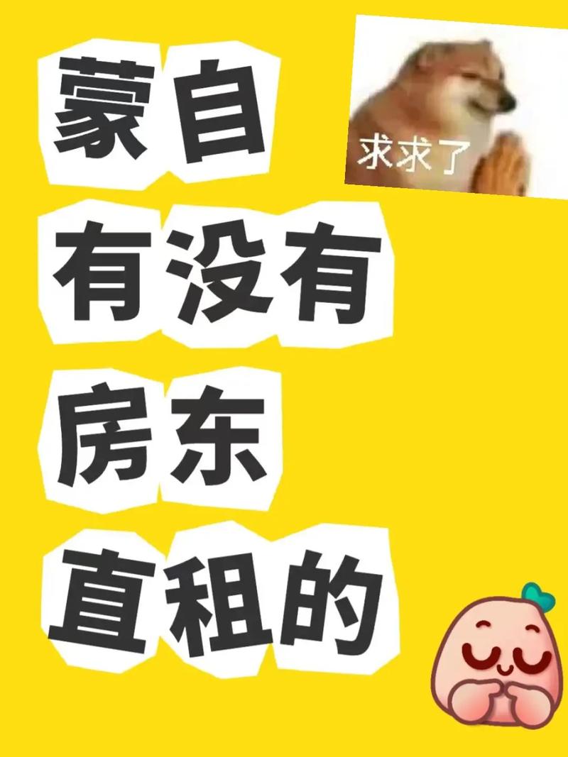 你们怎么租房子