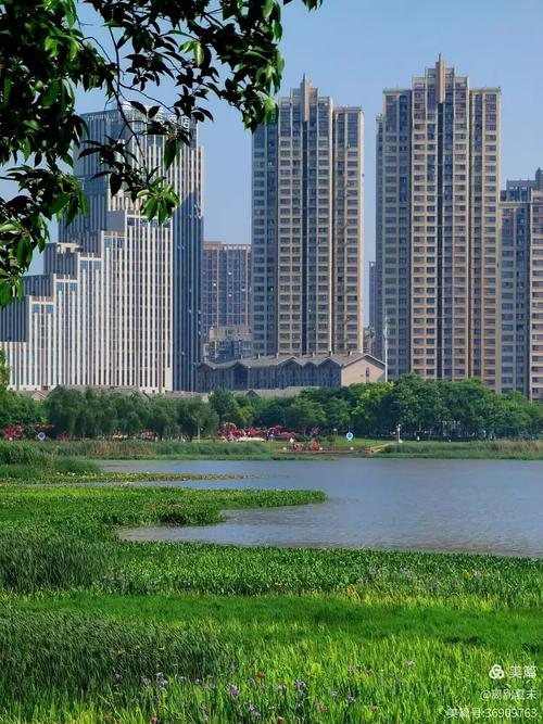 杨春湖畔楼盘