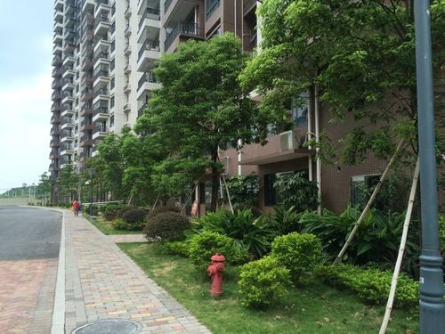 三水大塘奥利花园价格