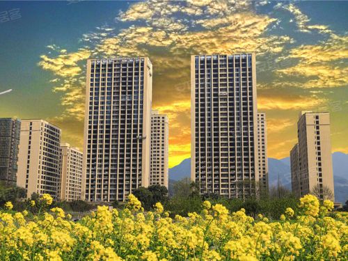 温溪新楼盘