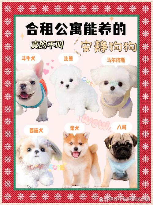 租房怎么养狗狗