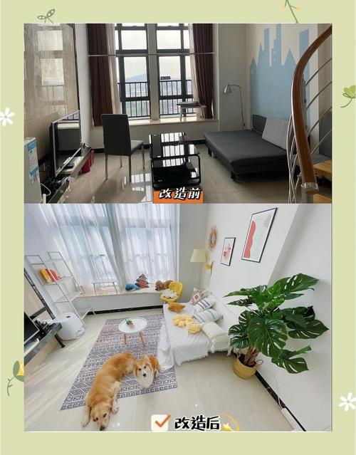 租房怎么养狗狗