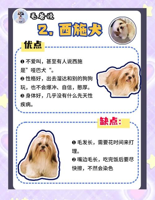 租房怎么养狗狗