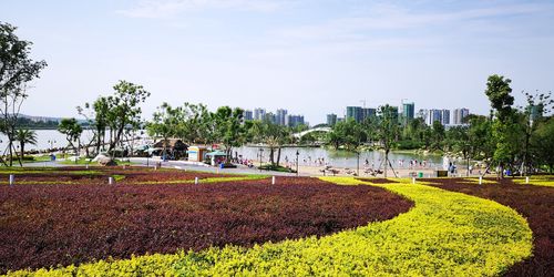 江油明月岛楼盘