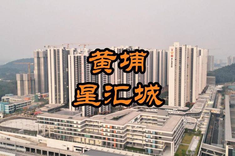 广州镇龙楼盘
