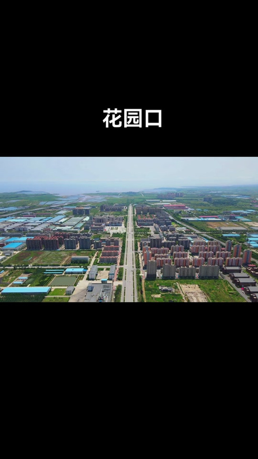 大连花园口最新项目