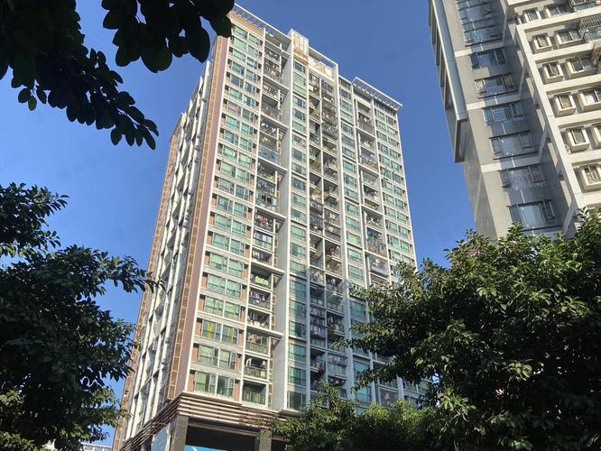 龙华新开楼盘