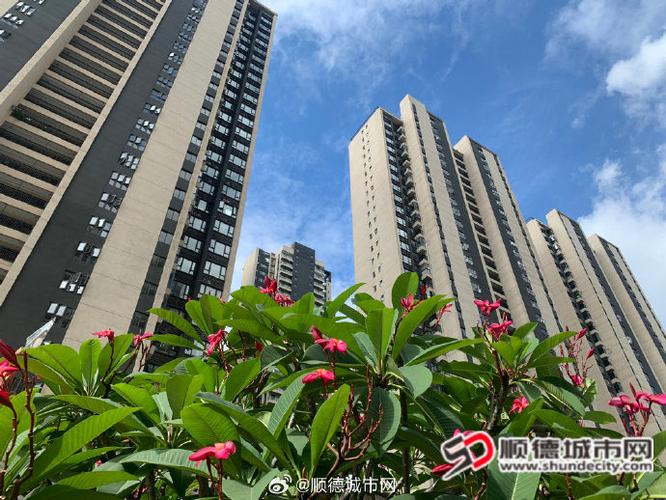 顺德房价新楼盘