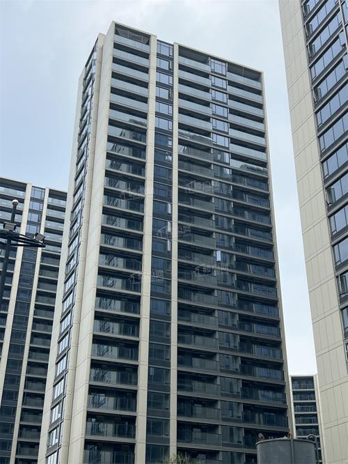 杭州滨江新开楼盘