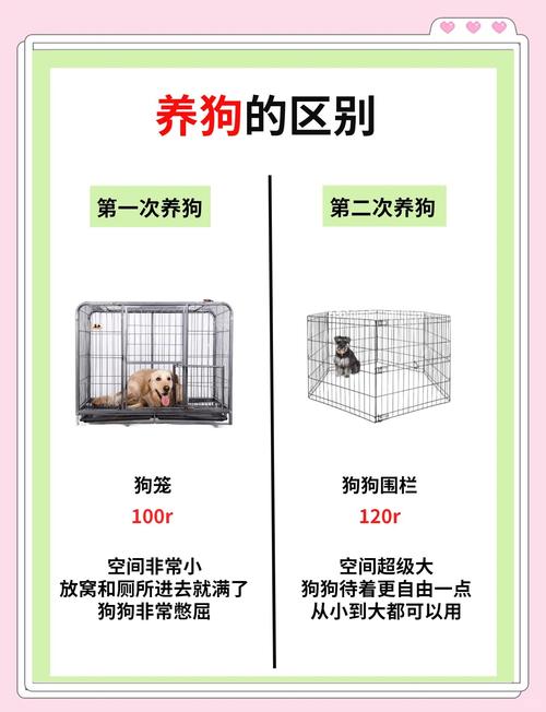 租房子怎么养狗