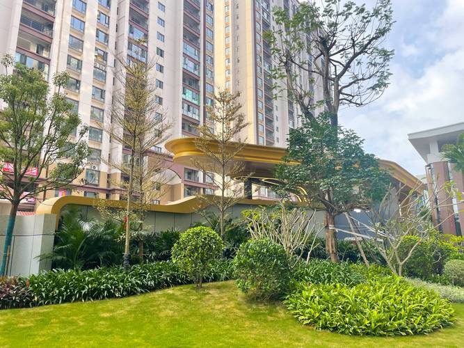瑞丽最新楼盘
