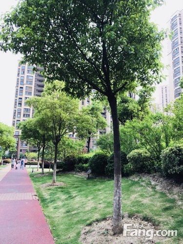 花桥裕花园离s1多远
