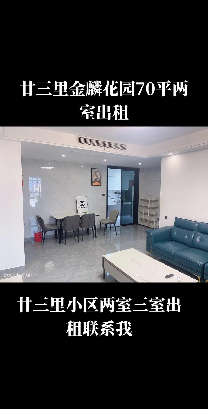 廿三里金麟花园样板房
