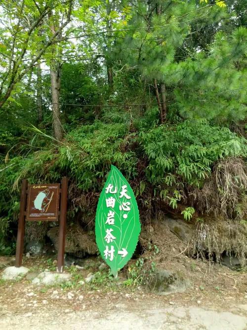 武夷山天心花园在哪里