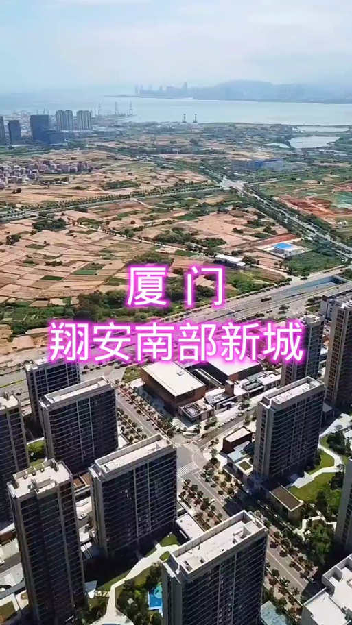 翔安房价走势