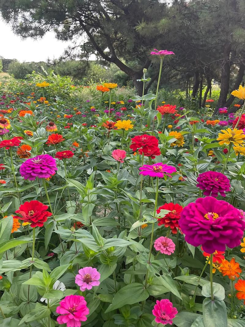 葫芦岛阳光四季花园