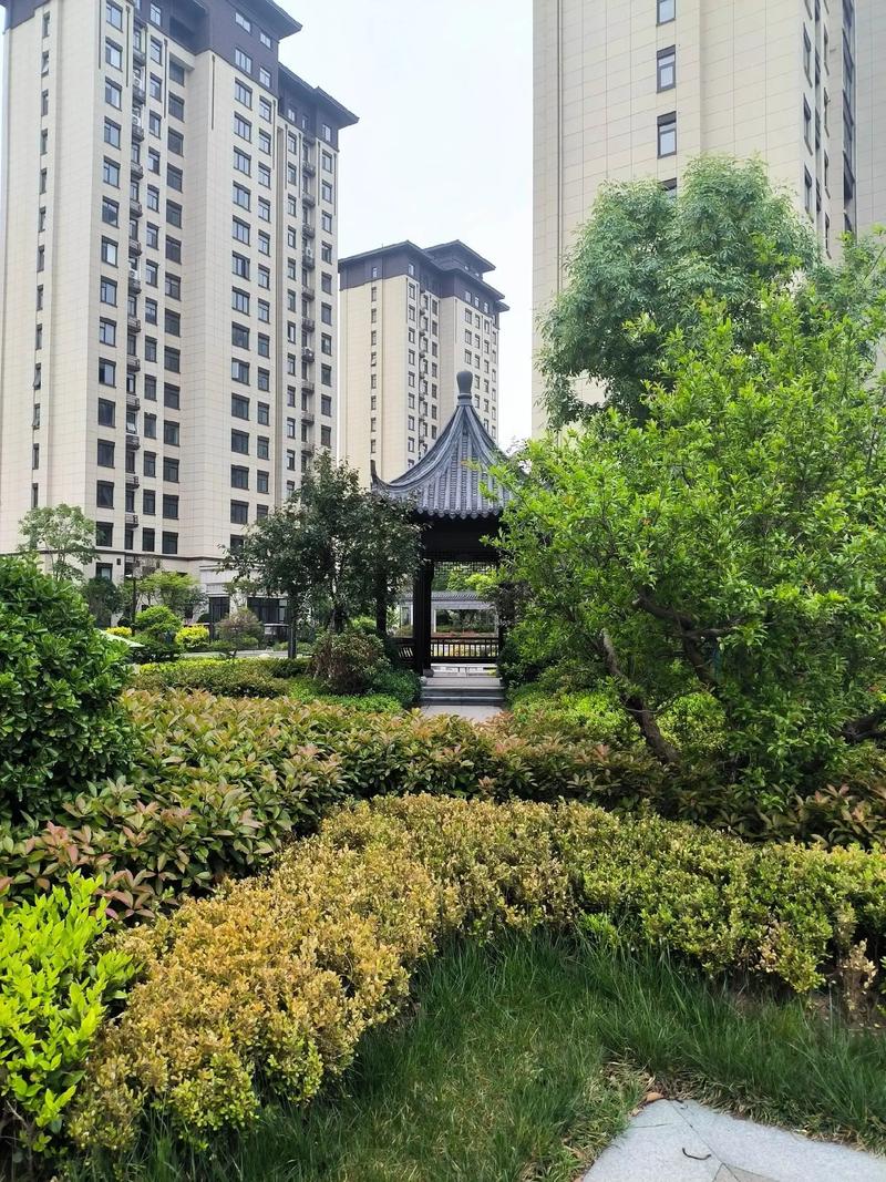 长垣最新楼盘