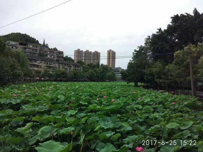 富顺房价2017
