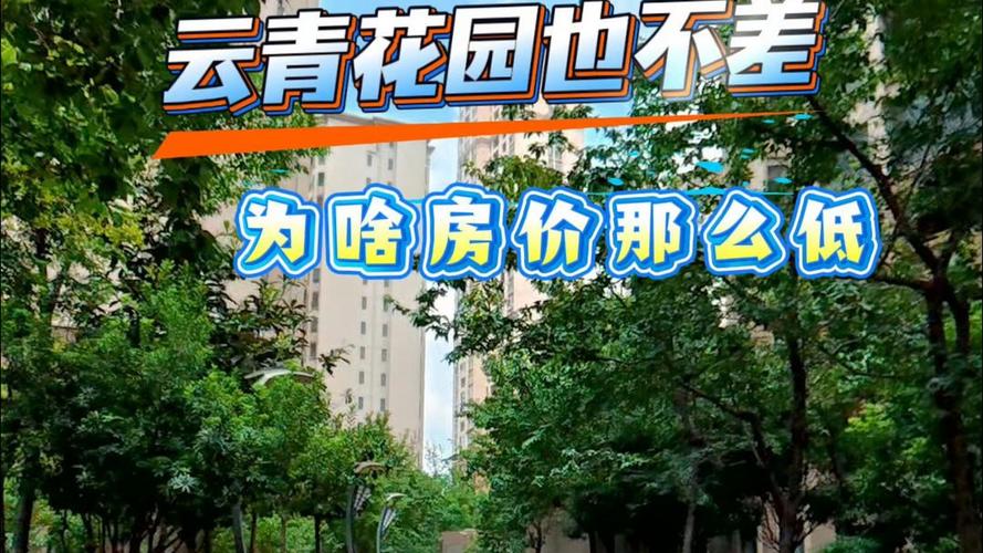 云青花园最新进展