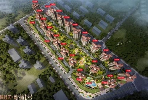 新浦新区房价