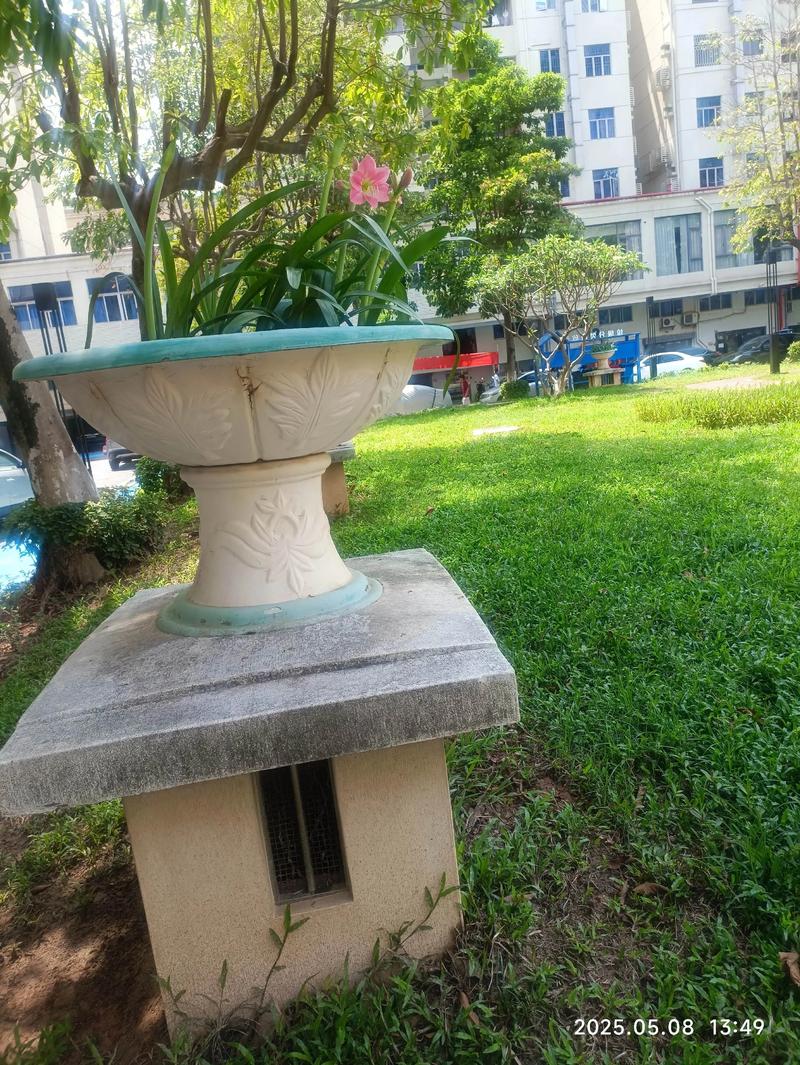 东莞石竹花园怎么样