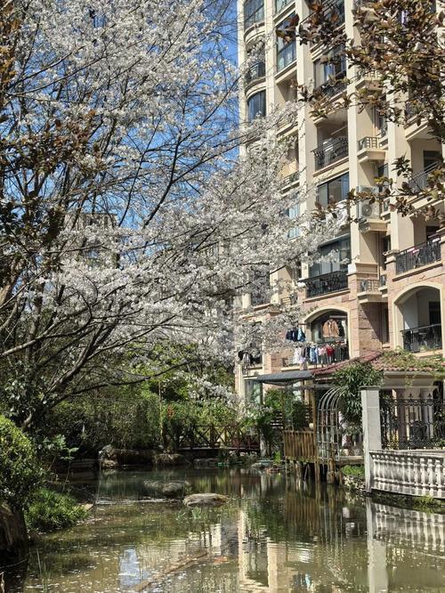 织里爱家皇家花园二期