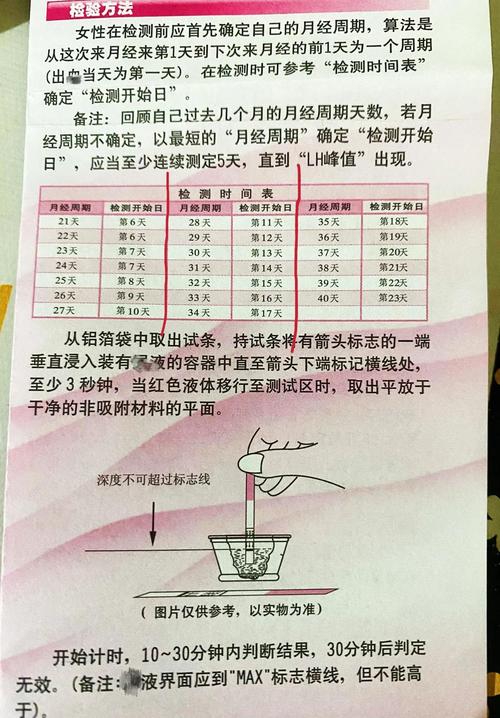 租房中介费怎么算排卵期