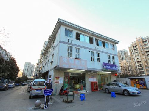 吴逸花园为什么要拍卖