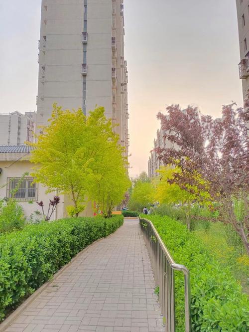 枫泉花园两限房实景