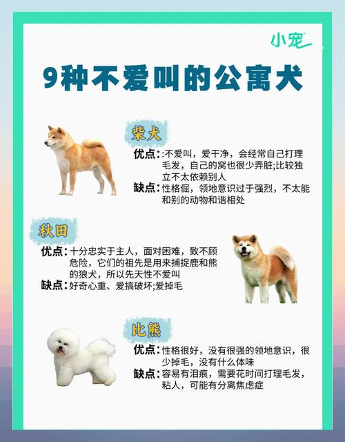 养狗怎么租房