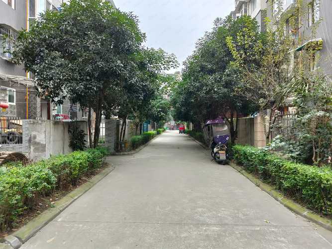 德源镇楼盘
