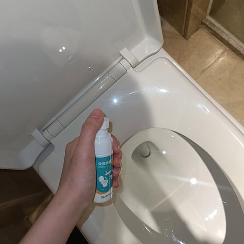 怎么给租房的马桶消毒